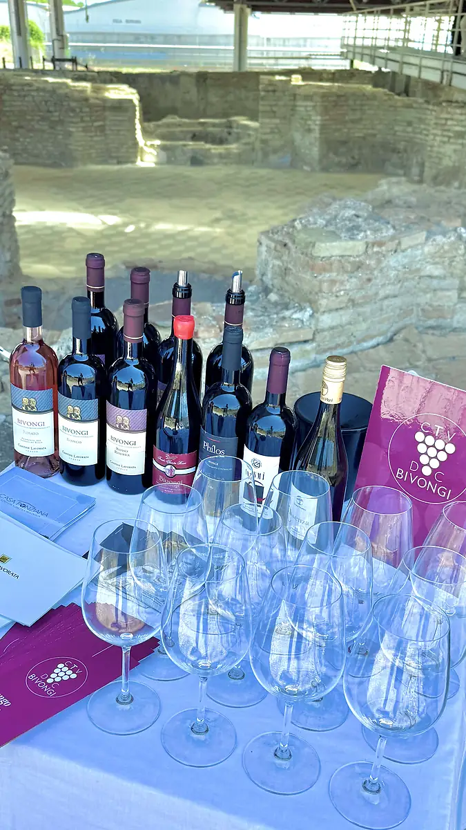 Kalabrische Weine bei der Verkostung in der Villa von Casignana