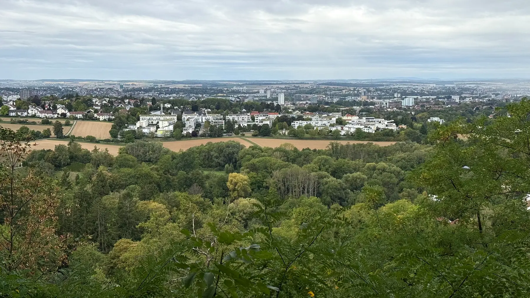 Blick über Heilbronn bei der Waldweg-Wanderung