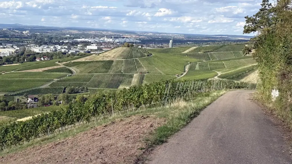 Weg durch die Weinberge am Wartberg mit Blick auf Heilbronn