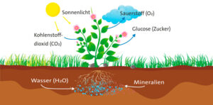 01_Weingut Klenert_BW