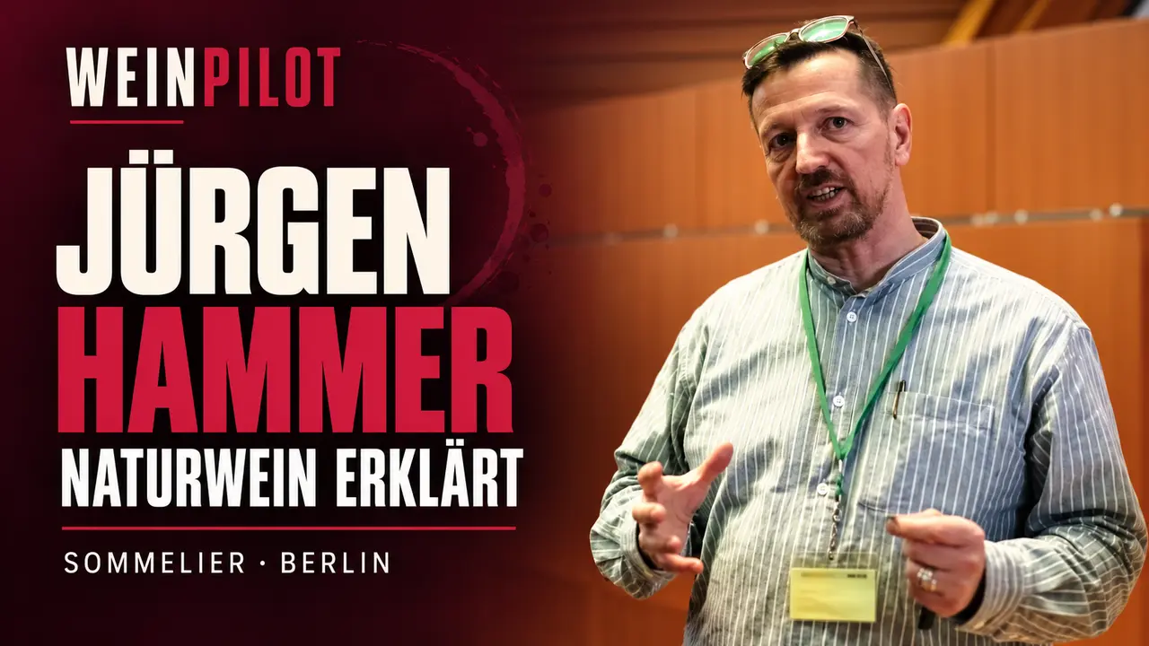 Video-Interview mit Jürgen Hammer