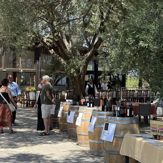 Verkostungsbereich von Vinitaly and the City Sibari unter Olivenbäumen